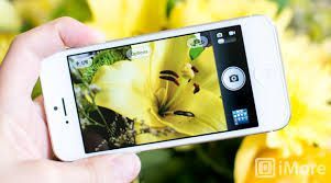 a picture of a phone camera taking a photo of a yellow flower