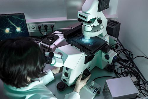 dentist viewing stem cells through a microscope
