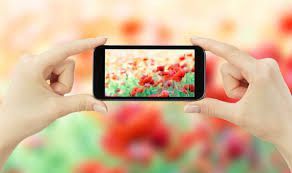 picture of a phone taking a photo of red flowers