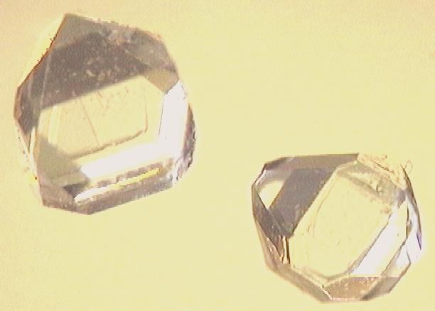 xylitol_crystals
