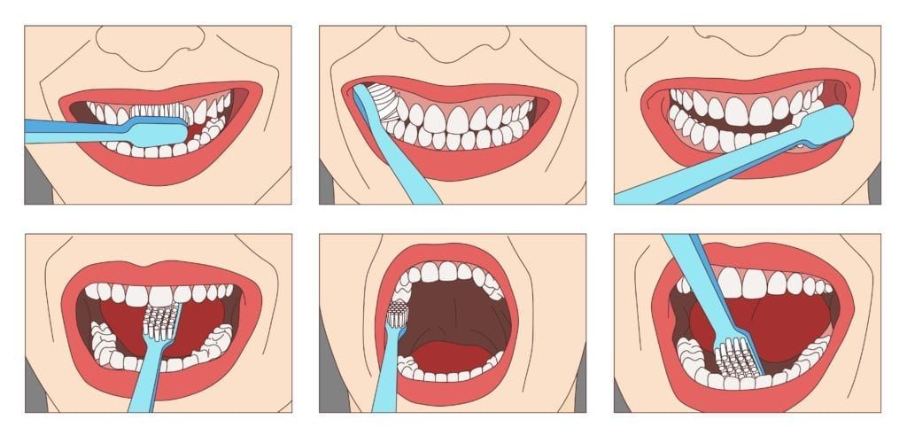 diagram showing how to properly brush your teeth